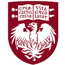 芝加哥大学